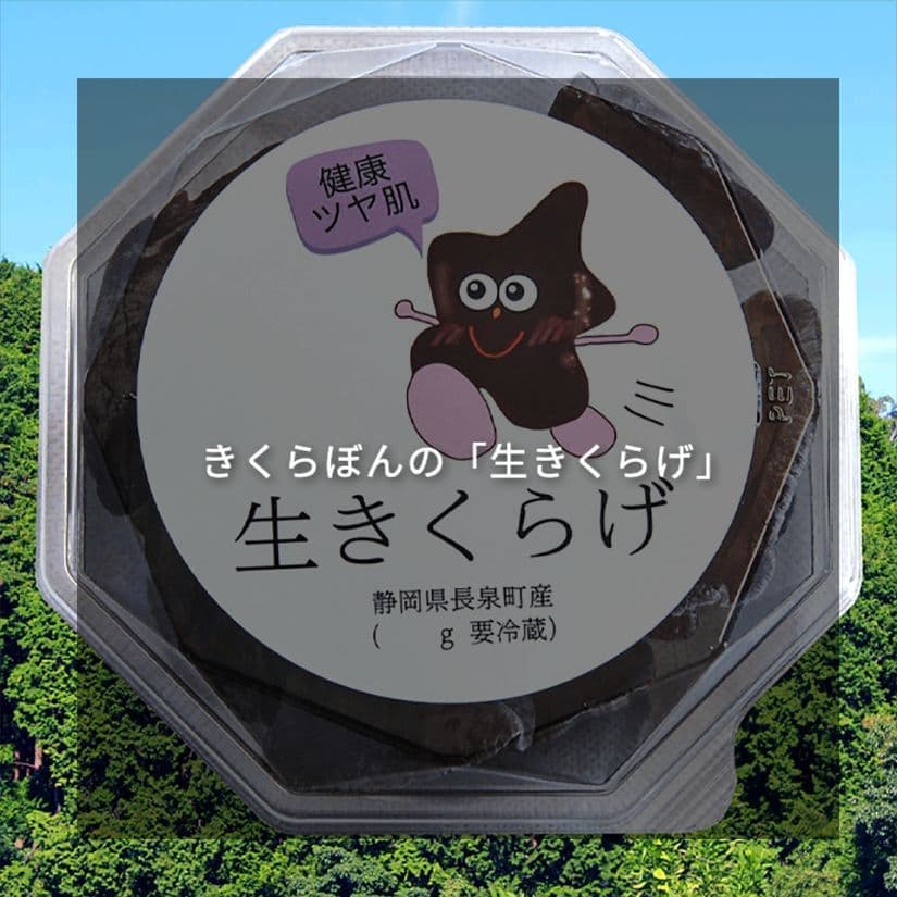 きくらぼんの「生きくらげ」｜きくらぼんの生きくらげ｜株式会社きくらぼ｜静岡県駿東郡長泉町産の生きくらげ