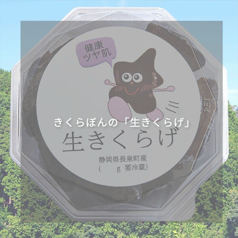 きくらぼんの「生きくらげ」｜きくらぼんの生きくらげ｜株式会社きくらぼ｜静岡県駿東郡長泉町産の生きくらげ