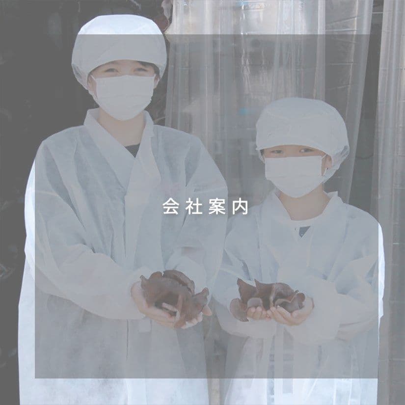 会社案内｜きくらぼんの生きくらげ｜株式会社きくらぼ｜静岡県駿東郡長泉町産の生きくらげ