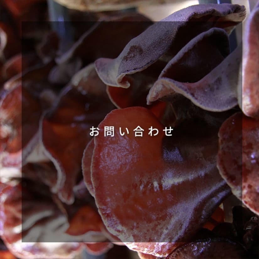 お問い合わせ｜きくらぼんの生きくらげ｜株式会社きくらぼ｜静岡県駿東郡長泉町産の生きくらげ