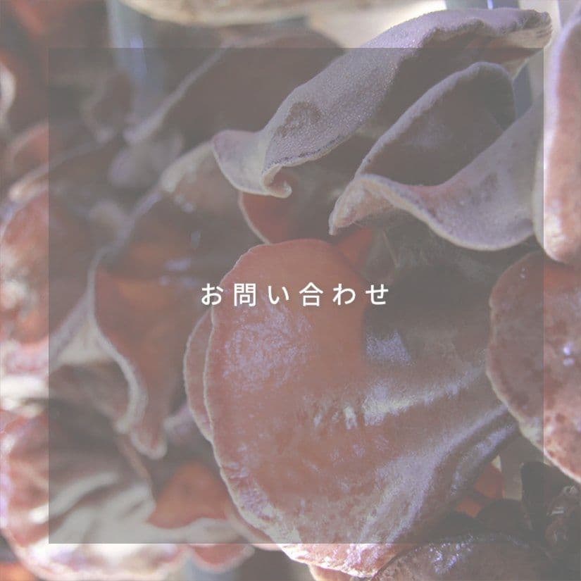 お問い合わせ｜きくらぼんの生きくらげ｜株式会社きくらぼ｜静岡県駿東郡長泉町産の生きくらげ