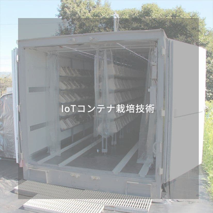 IoTコンテナ栽培技術｜きくらぼんの生きくらげ｜株式会社きくらぼ｜静岡県駿東郡長泉町産の生きくらげ