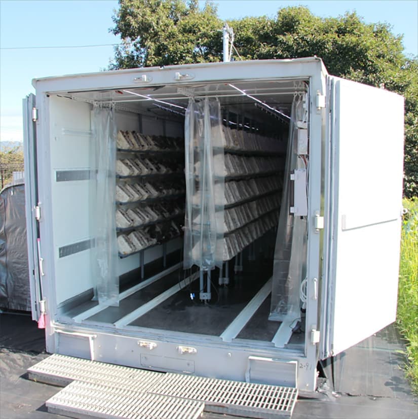 IoTコンテナ栽培技術｜きくらぼんの生きくらげ｜株式会社きくらぼ｜静岡県駿東郡長泉町産の生きくらげ