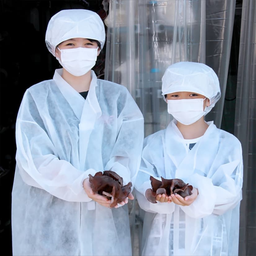 会社案内｜きくらぼんの生きくらげ｜株式会社きくらぼ｜静岡県駿東郡長泉町産の生きくらげ