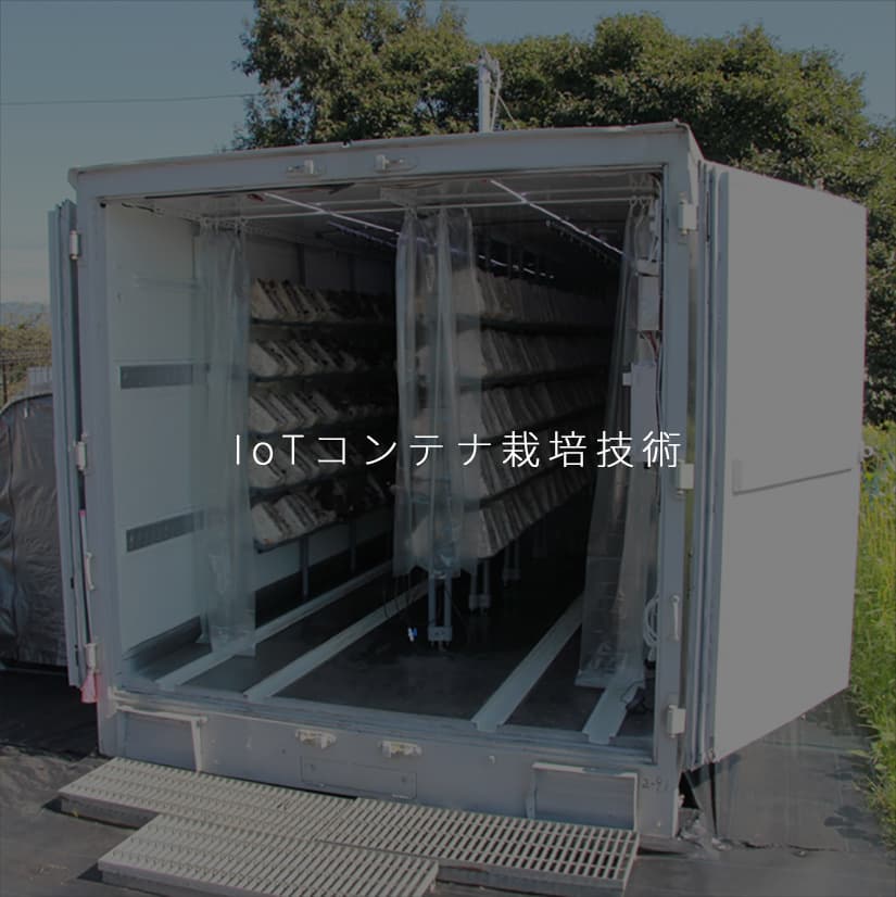 IoTコンテナ栽培技術｜きくらぼんの生きくらげ｜株式会社きくらぼ｜静岡県駿東郡長泉町産の生きくらげ