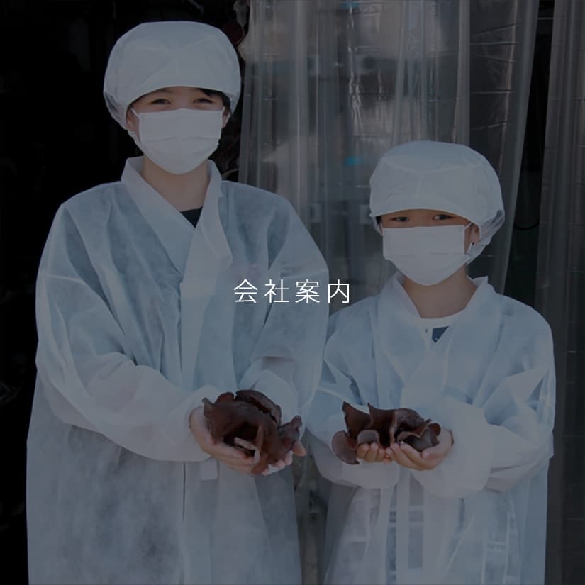 会社案内｜きくらぼんの生きくらげ｜株式会社きくらぼ｜静岡県駿東郡長泉町産の生きくらげ
