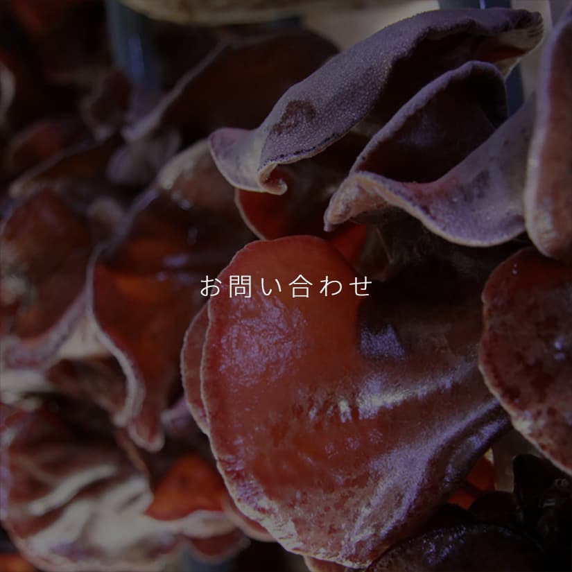 お問い合わせ｜きくらぼんの生きくらげ｜株式会社きくらぼ｜静岡県駿東郡長泉町産の生きくらげ