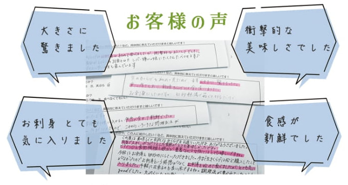 お客様の声｜きくらぼんの生きくらげ｜株式会社きくらぼ｜静岡県駿東郡長泉町産の生きくらげ