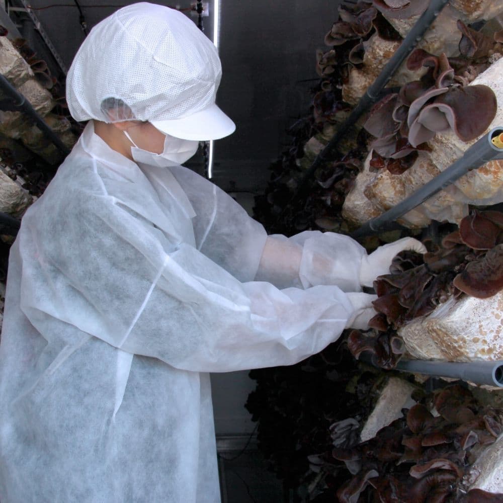 除菌対策｜きくらぼんの生きくらげ｜株式会社きくらぼ｜静岡県駿東郡長泉町産の生きくらげ