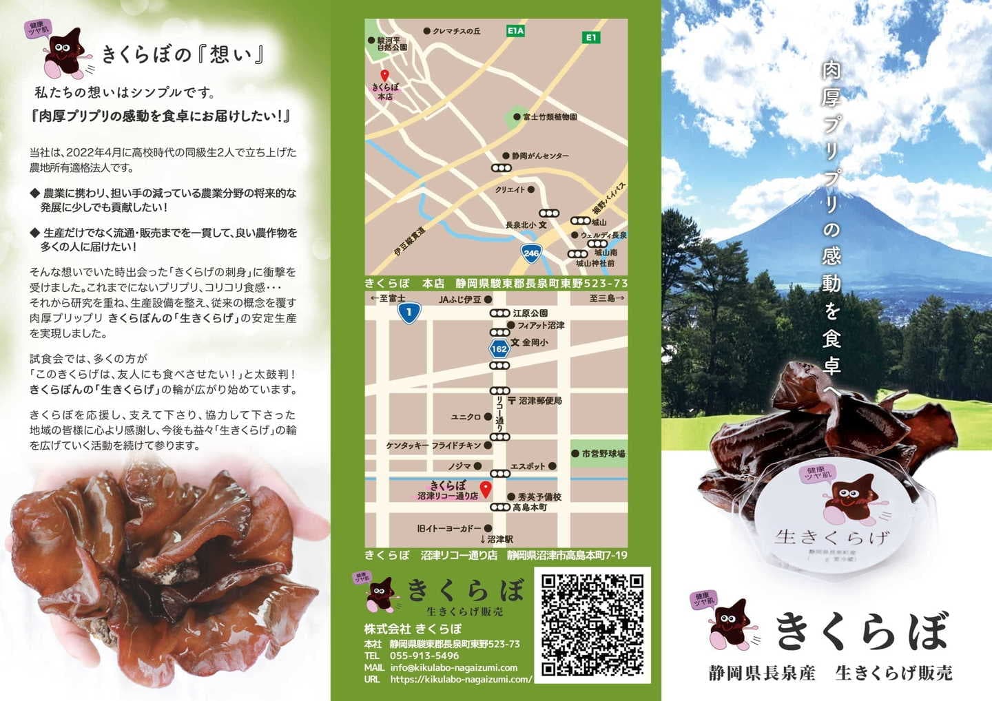 チラシ｜きくらぼんの生きくらげ｜株式会社きくらぼ｜静岡県駿東郡長泉町産の生きくらげ