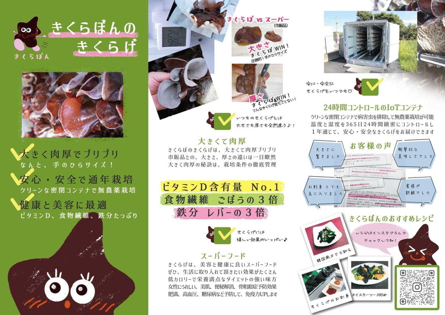 チラシ｜きくらぼんの生きくらげ｜株式会社きくらぼ｜静岡県駿東郡長泉町産の生きくらげ