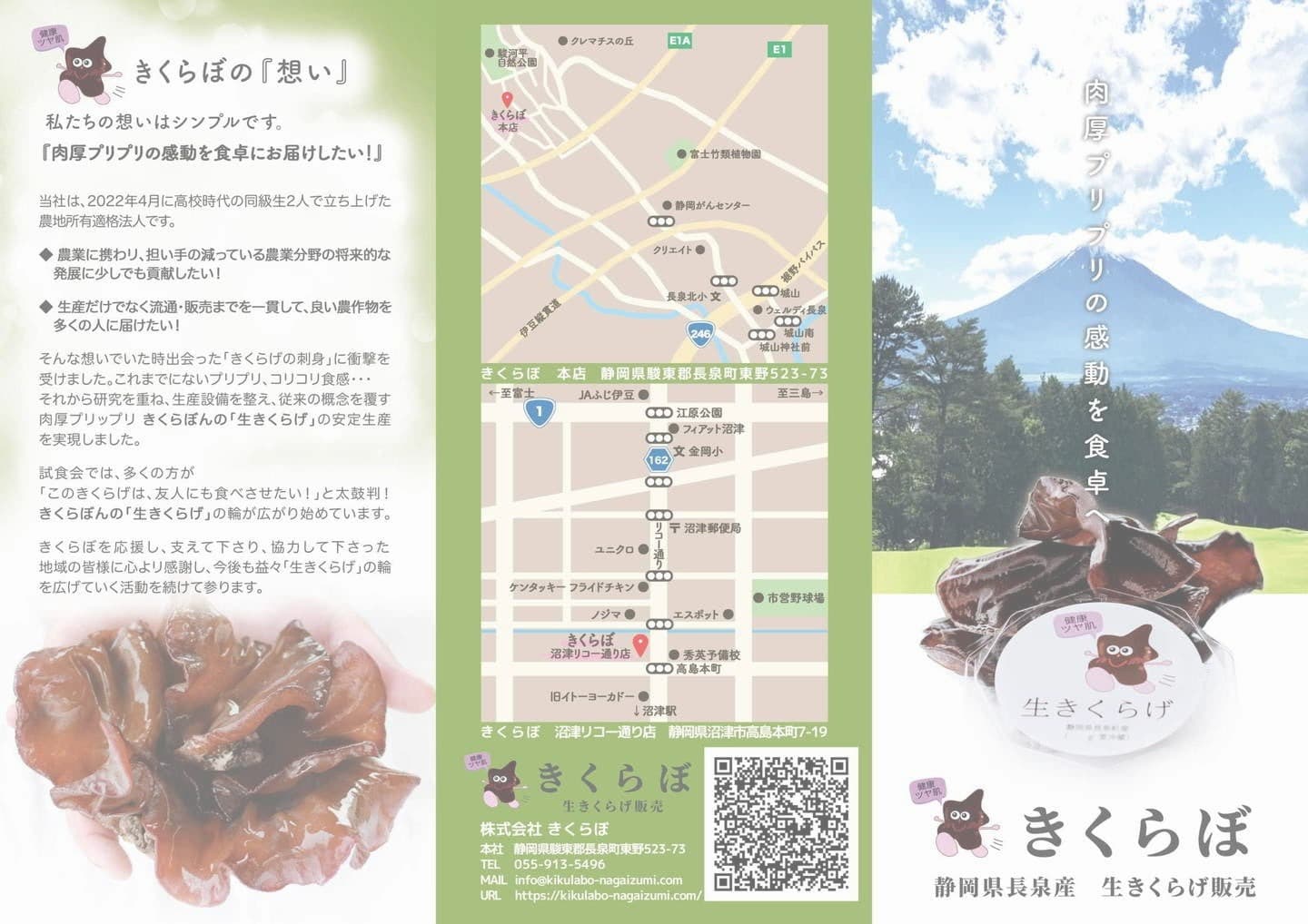 チラシ｜きくらぼんの生きくらげ｜株式会社きくらぼ｜静岡県駿東郡長泉町産の生きくらげ