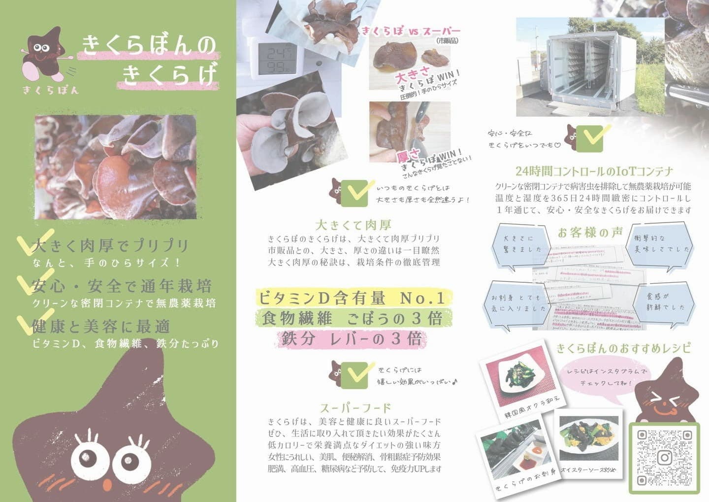 チラシ｜きくらぼんの生きくらげ｜株式会社きくらぼ｜静岡県駿東郡長泉町産の生きくらげ