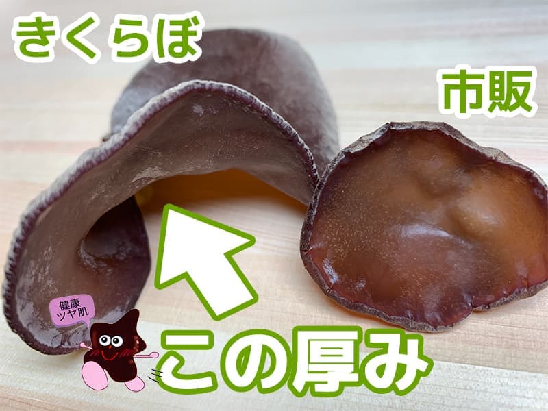 きくらげ比較｜きくらぼんの生きくらげ｜株式会社きくらぼ｜静岡県駿東郡長泉町産の生きくらげ